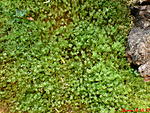 DSC00123