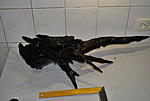 10DSC 1587 
.   .   -   900 
 ,    ....