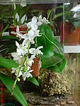 DSC00148