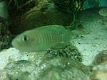 IMG 20160705 211746