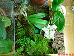 DSC00176