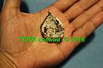 Lampropelma nigerrimum S1 TM