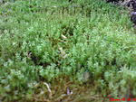 DSC00112