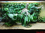 DSC00094