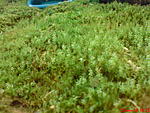 DSC00114