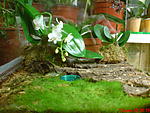 DSC00577