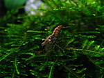 IMG 3435