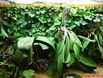 DSC00758