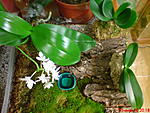 DSC00628