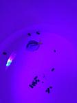 IMG 2016 08 20 195011