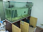 IMG 2016 08 01 164236