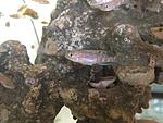 IMG 7998