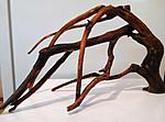 wood