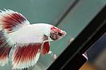 IMG 5821