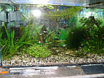 PICT0015