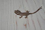IMG 7363