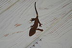 IMG 7374