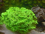 DSCN6138