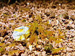 Picture 000024