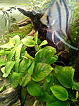 IMG 20160916 105258