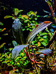 DSCF3953