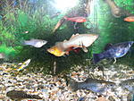 PICT0020