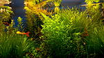 IMG 20160825 194603