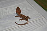 IMG 7360