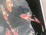 IMG 6851
