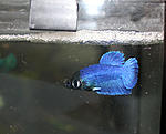 IMG 5042