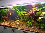 DSCN6688