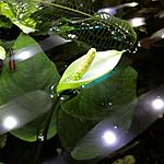 image 25 09 16 06 03 5