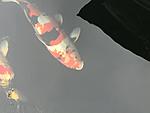 IMG 6837