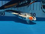 IMG 6886