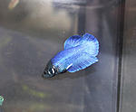 IMG 5047