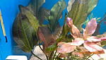 IMG 20140704 192140