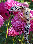 DSCF8890
