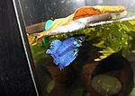 IMG 6216