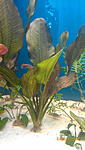 IMG 20140704 192013