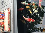 IMG 6828