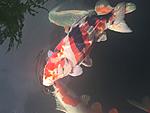 IMG 6847