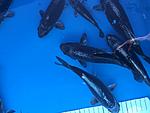 IMG 6876