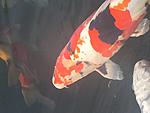 IMG 6848