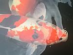 IMG 6857