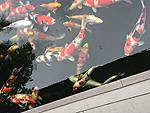 IMG 6831