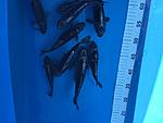 IMG 6879