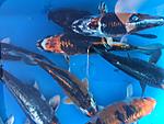 IMG 6899