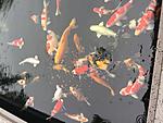 IMG 6834