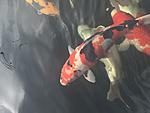 IMG 6853