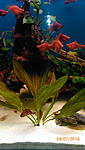 IMG 20140704 191902